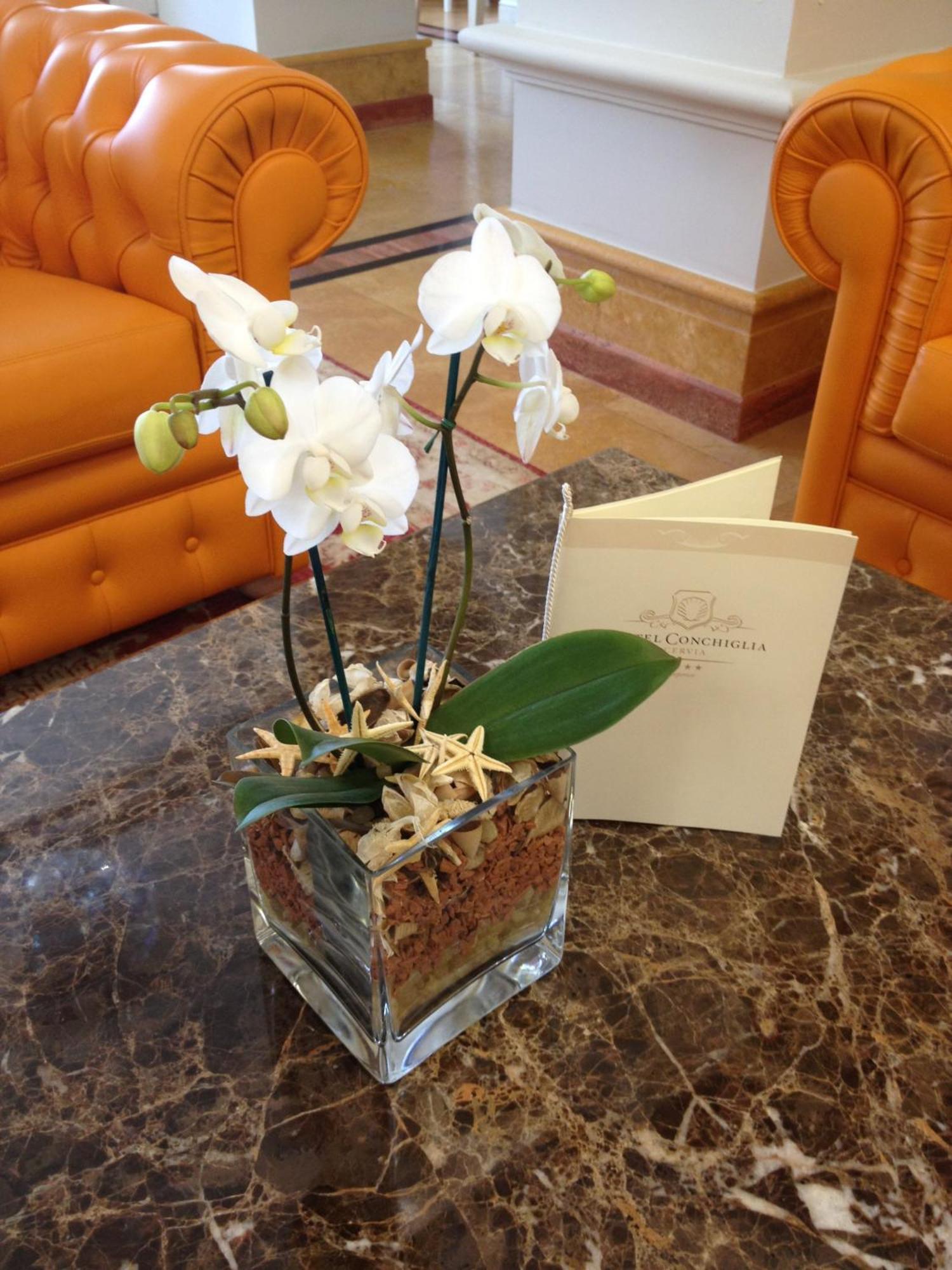 Hotel Conchiglia Червия Екстериор снимка